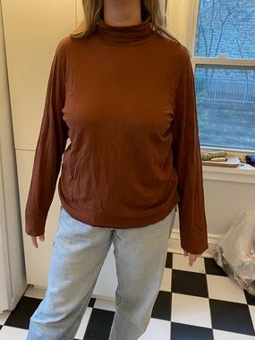 Everlane Rust Brown Turtleneck Long-Sleeve Tee